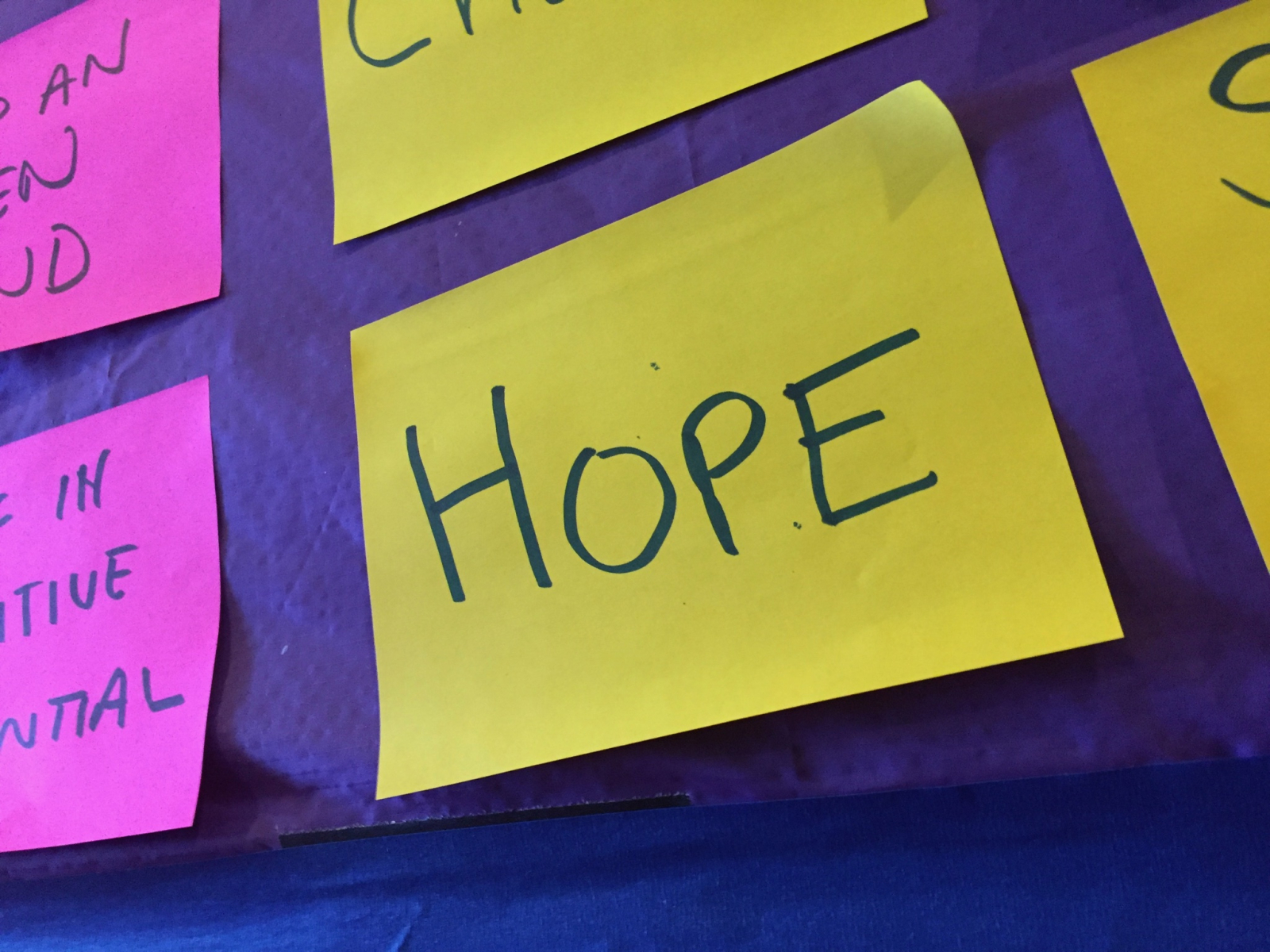 Finding Light in the Darkness - Jasmine's Journey of Resilience